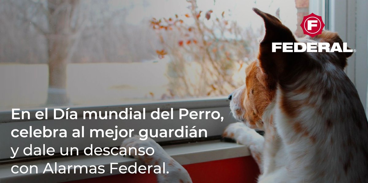 FEDERAL Chile S.A. tweet media