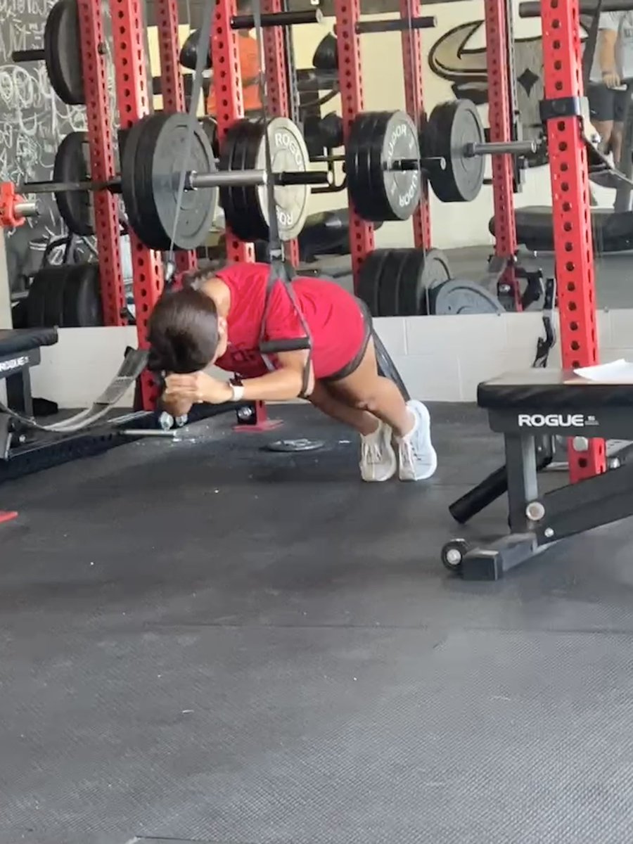 Lia D’Afonseca tweet media