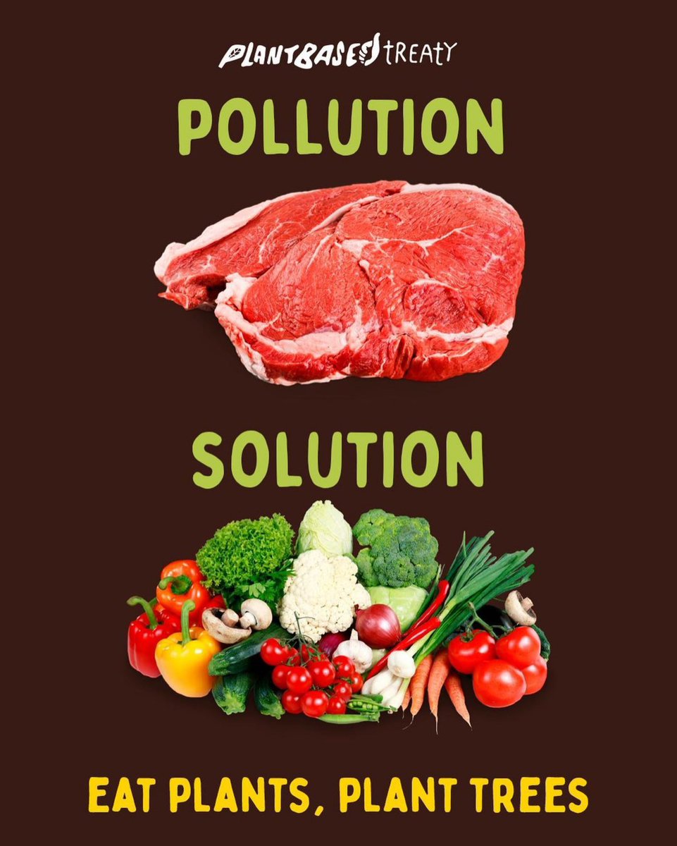 Plant Based Treaty Canada tweet media