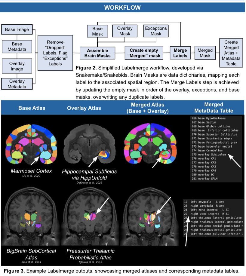 Jonathan C. Lau (@jclauneuro) on Twitter photo Arun Thurairajah will present Labelmerge, a <a href="/BIDSstandard/">BIDS-standard</a> app for a user-friendly and more efficient method of combining parcellations from multiple brain atlases.
Poster 2493 #OHBM2023 6/ Arun Thurairajah will present Labelmerge, a <a href="/BIDSstandard/">BIDS-standard</a> app for a user-friendly and more efficient method of combining parcellations from multiple brain atlases.
Poster 2493 #OHBM2023 6/