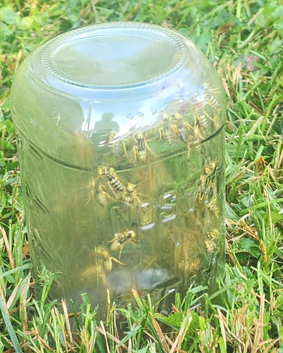 me: gee i've not been on social media for a while i wonder how it's going

how social media is going: