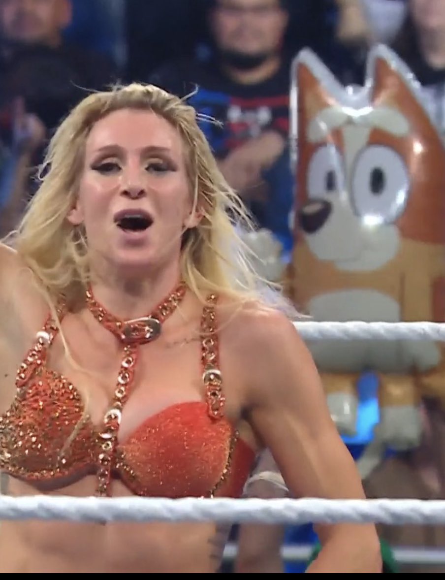 Wrestle Signs (@wrestiingsigns) on Twitter photo 