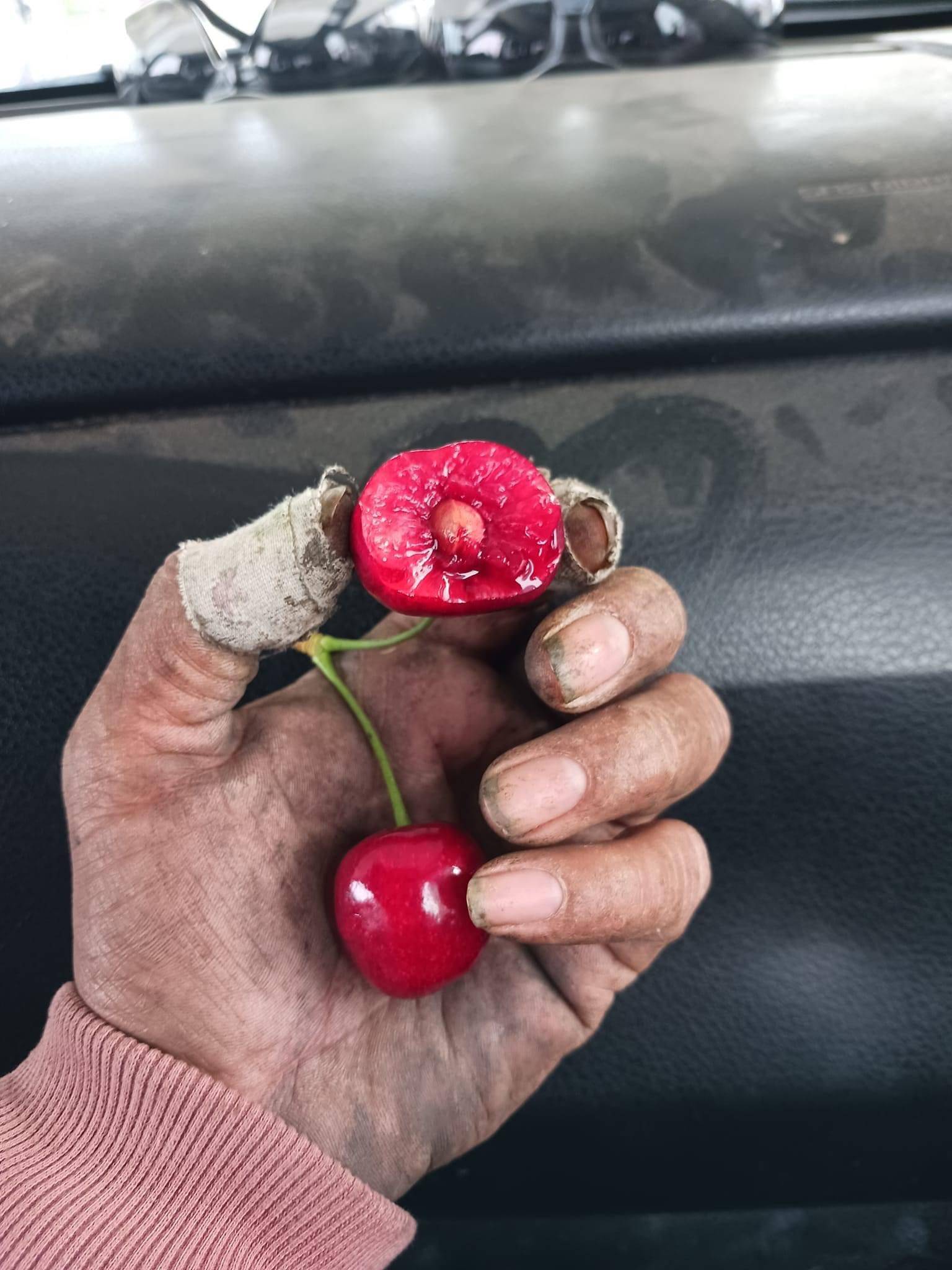 United Farm Workers on Twitter "Celsa examines a ripe WA state cherry