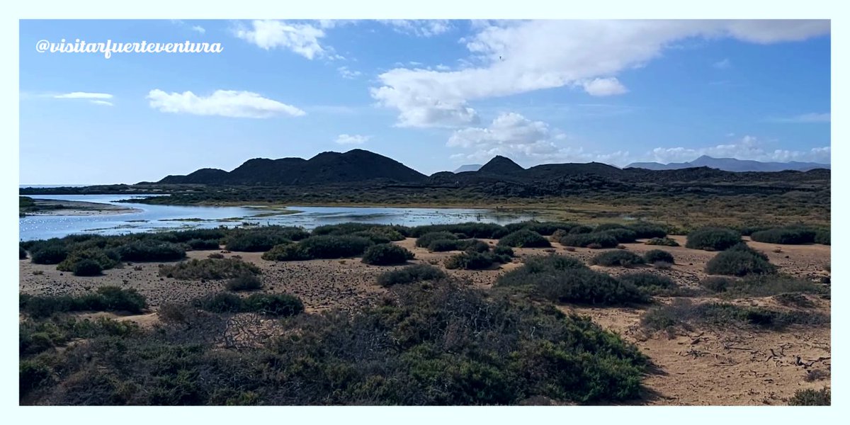 Ve a descubrir la bahía de Isla de Lobos (Las Lagunitas), un lugar único en Fuerteventura.  #IsladeLobos #LaOliva