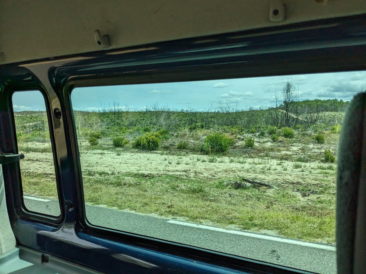 EmDi_ACGT's tweet photo. Besonders erschreckend war es jedoch das Ausmaß der schweren Waldbrände von August 2022 zu sehen. Wo früher etliche Kilometer Pinienwälder standen, waren nun nur noch verkohlte Stämme bzw. bereits geräumtes Gebiet. Ähnliches passiert derzeit auf Rhodos... #Klimanotstand https://t.co/pmbGQ0oHlj