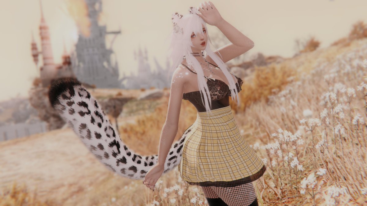 JasyXIV's tweet photo. I just had to make a miqo to use this tail

#mordproxy #hexmods #ziziblooms #lunabunnies https://t.co/dqiG0v98Vl