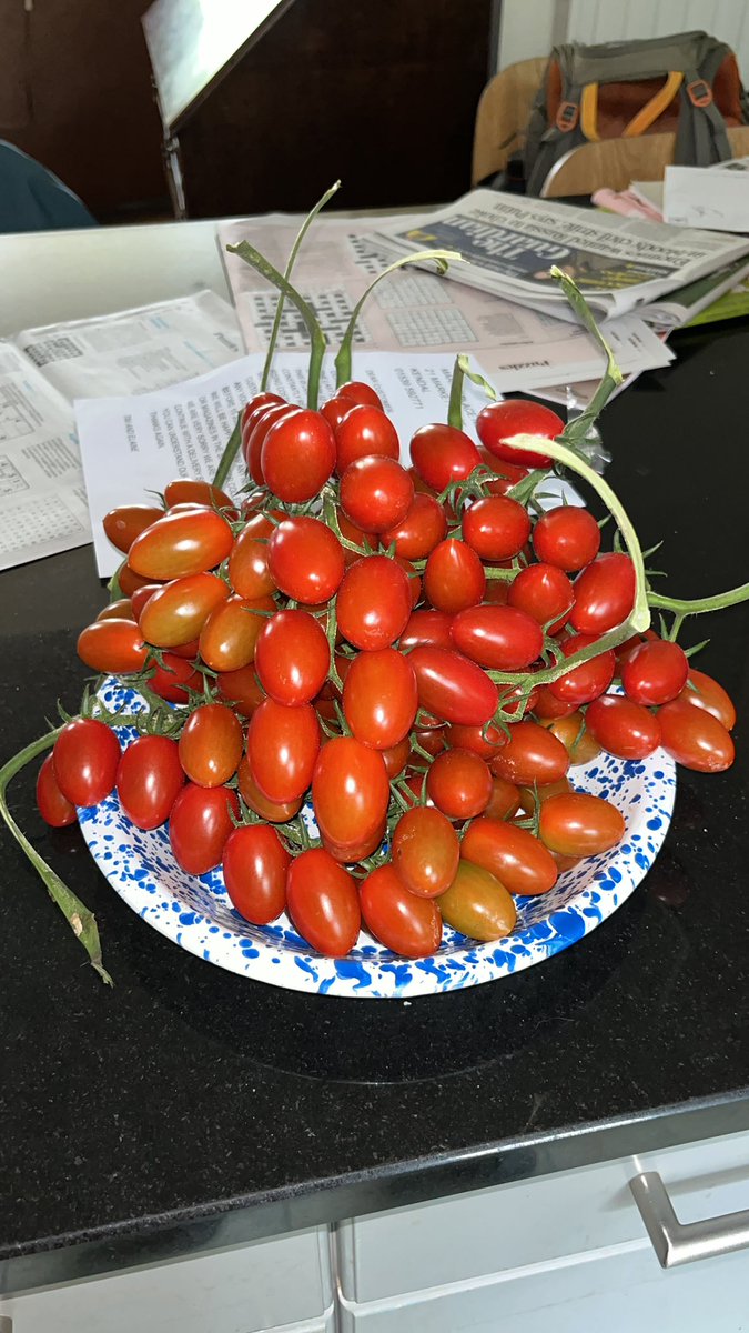 Cazgraham tweet media