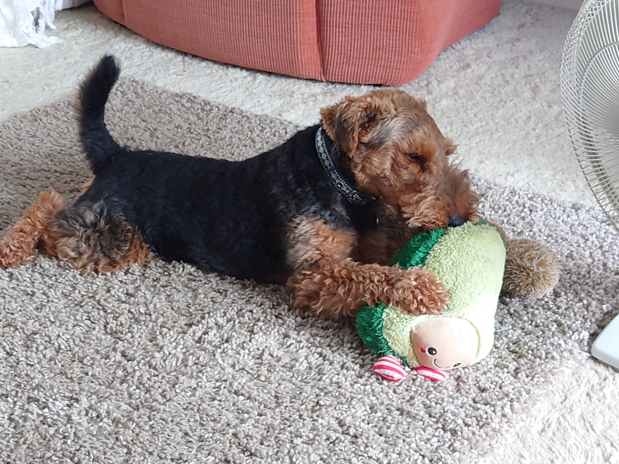 Nash and Nico🌈🇨🇵 on Twitter "I'm not doing well today. First I tried