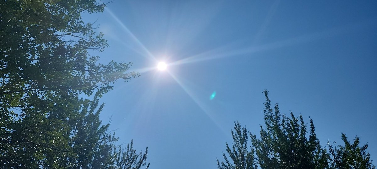 Justa_Guy907's tweet photo. Man, I think Summer Finally made its way to #Alaska.. 🥳🤙🥳
#AlaskaSummer https://t.co/01Feu9OibK