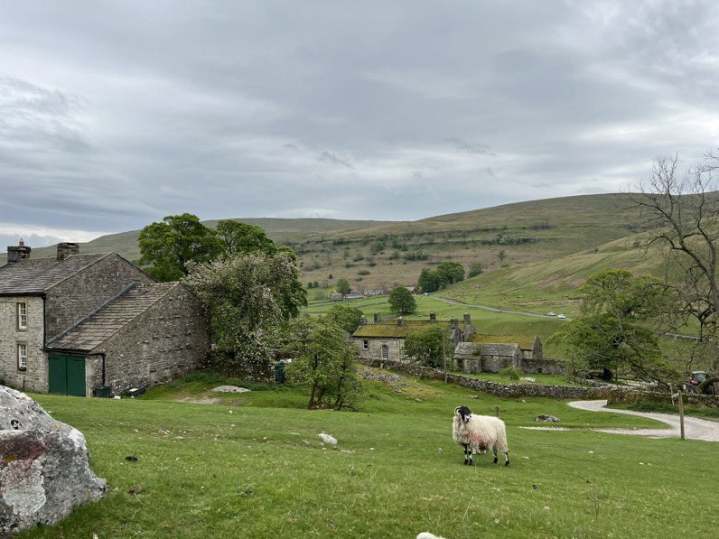 <a href="/Pixie_Tooth/">Pixie Tooth 🌈💔</a> My favourite tv show is <a href="/AllCreaturesTV/">All Creatures Great and Small</a>  I really love the <a href="/channel5_tv/">Channel 5</a> production. It’s set in my beautiful Yorkshire Dales.  I take the Humins on the <a href="/DalesBus/">DalesBus</a> to visit the locations here we have <a href="/Yockgranola/">Yockenthwaite Farm</a> (Helen’s Farm) and  Bunsall church and Hubberholme church #OTLFP