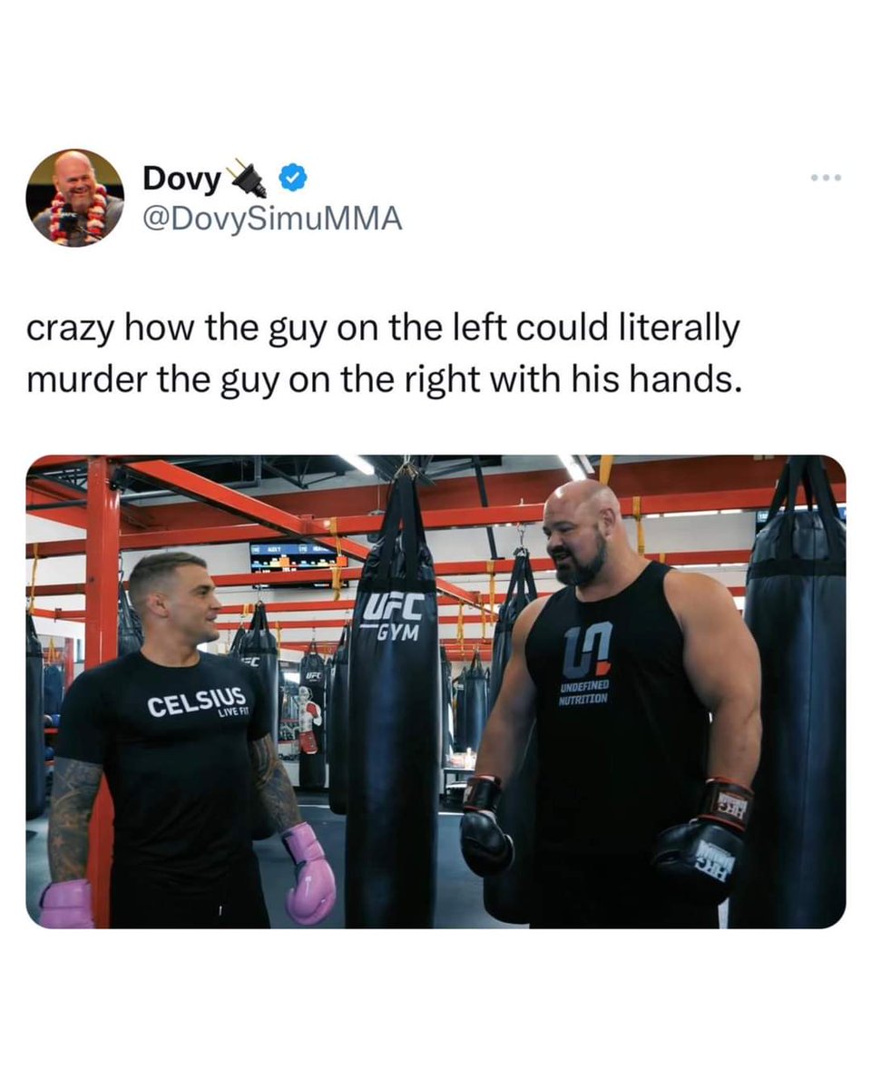 Him29849586's tweet photo. Mirror muscles don't mean SHIT!! 😂 fuckin juice monkeys https://t.co/l3Fna4Jo7S