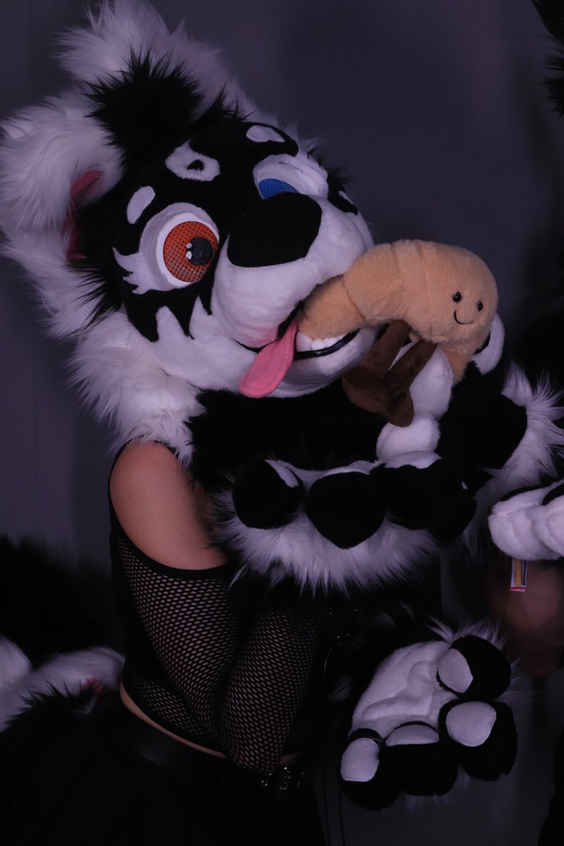 Jiggly_Lux's tweet photo. Wanna share a 🥐? 

#furry #fursuit #fursuiter #furrygirl #croissant #plushies https://t.co/mAiJDb2gUT