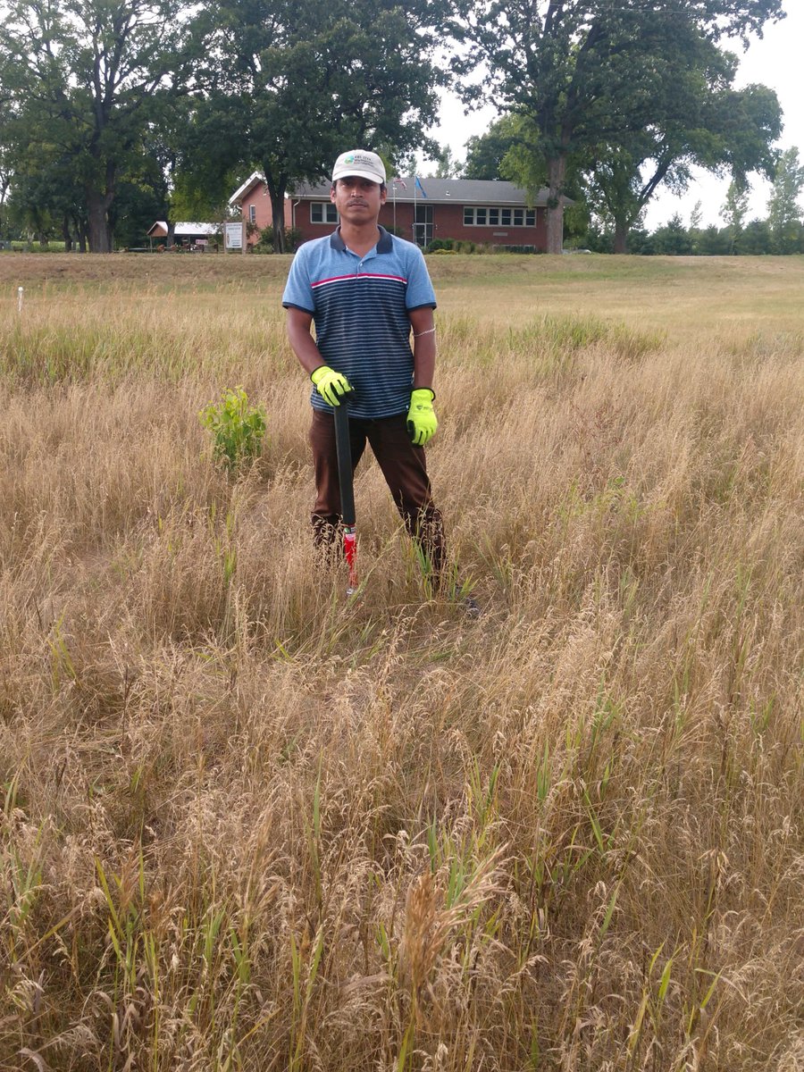 ashim_datta's tweet photo. Collected soil samples from Marginal land experiments at Wisconsin and Michigan... https://t.co/mRbxUN4vIc