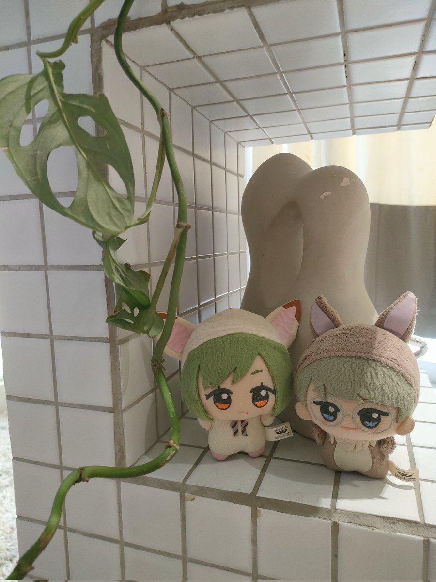 cabbage duo 💚