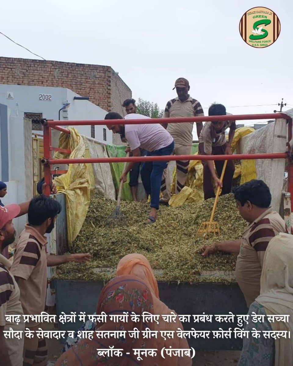 kashish77733656's tweet photo. Nowadays no one helps humans, there are Dera followers who are taking care of animals as well as humans, animals affected by flood have been taken out from there to a safe place and fodder is being arranged continuously for them
#FloodRelief 

Saint Gurmeet Ram Rahim Ji https://t.co/GZeRmVyQqy