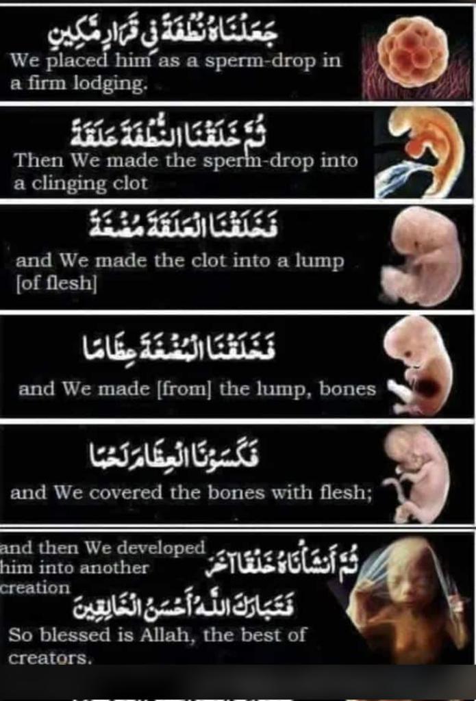 🌱خلق الإنسان
قال الله تعالى: {إِنَّا خَلَقْنَا الْإِنْسَانَ مِنْ نُطْفَةٍ أَمْشَاجٍ نَبْتَلِيهِ فَجَعَلْنَاهُ سَمِيعًا بَصِيرًا 0