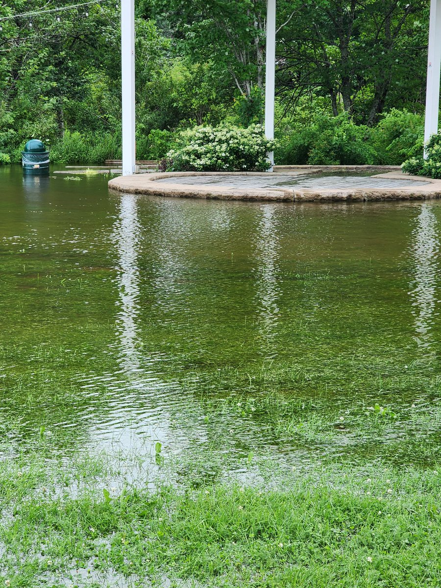 ReprtrPatHealey's tweet photo. The WomenFolk III Performance with @LeonaBurkey and friends to kickoff the Summer Concert Series at Waverley Village Green scheduled for tonight JULY 23 at 6 p.m. has been postponed due to flooding. It has been rescheduled for AUG. 13. #WaverleyNS #Halifax #FallRiverNS https://t.co/PpzmEF2l8U