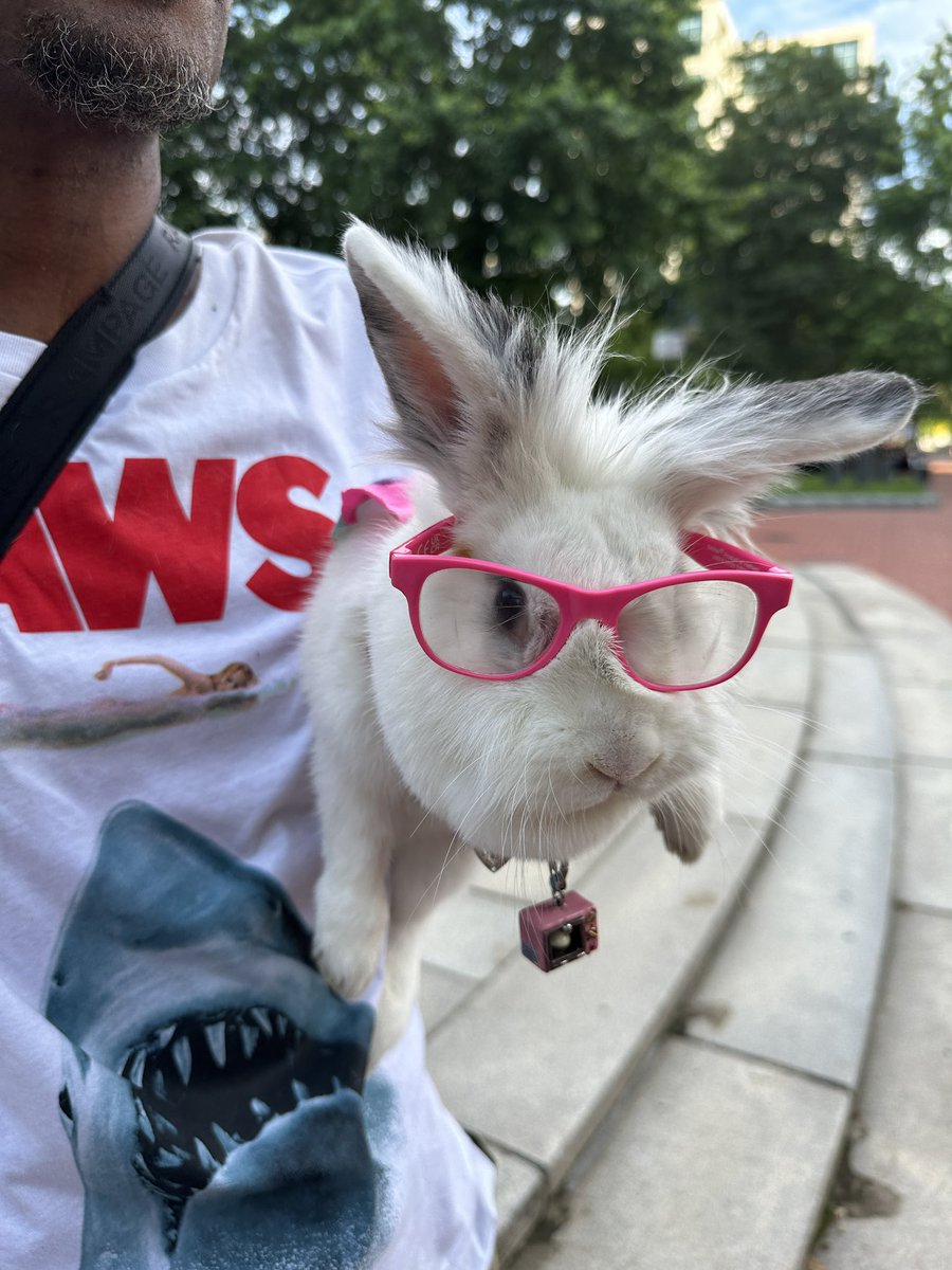 Tacoma Park (@tacomapark) on Twitter photo 