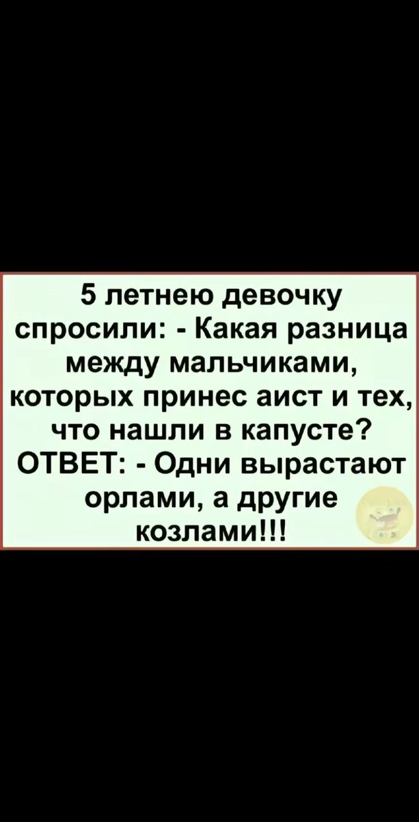 Vladimir Stefanenko (@vladimirst23373) on Twitter photo 