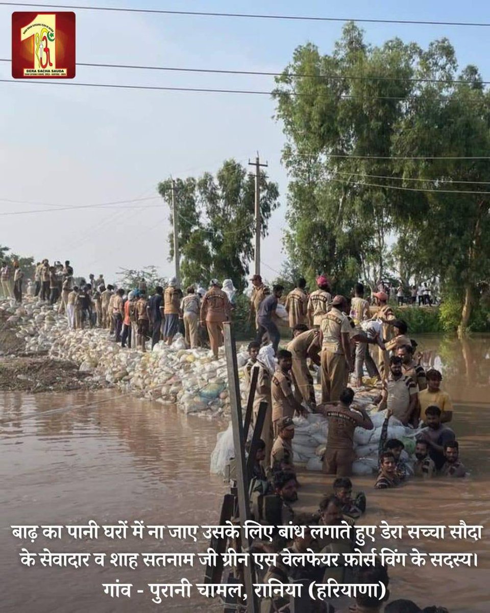 🤝 Hand in hand, we stand with the flood-affected regions, united in service and compassion. 🕊️ Shah Satnam Ji Green S Welfare Force wing is the true meaning of religion - a devotion to humanity. Together, we will rebuild and restore. #FloodRelief #UnitedWeServe