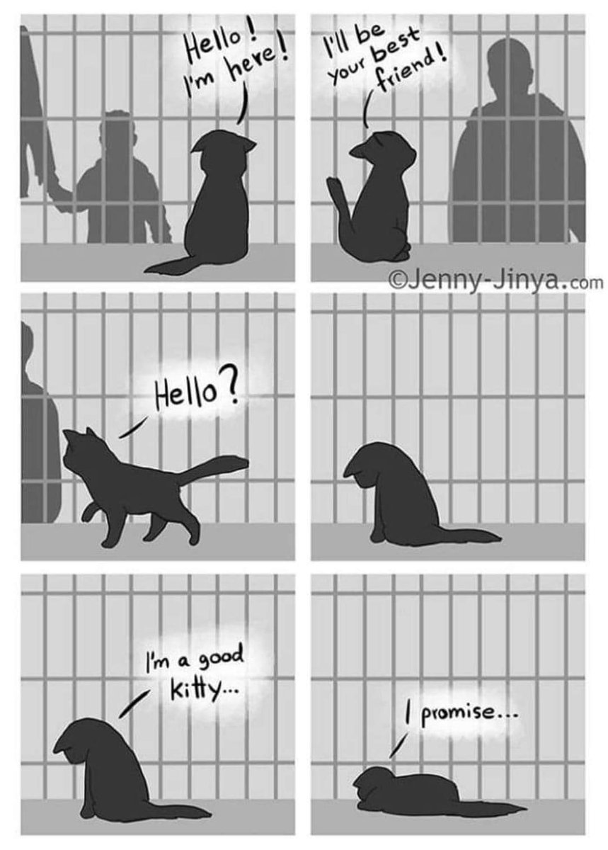 I don't want to make anyone sad, but this made me cry 🥺😔