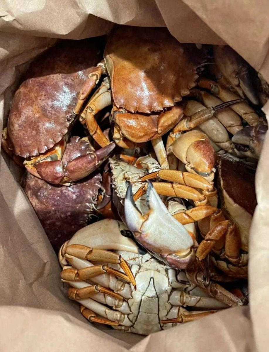 Allison_alsa's tweet photo. What kind of cuisine do you guys make out of crabs? My coworker made this. It's amazing. https://t.co/I7Y8ppn93Q