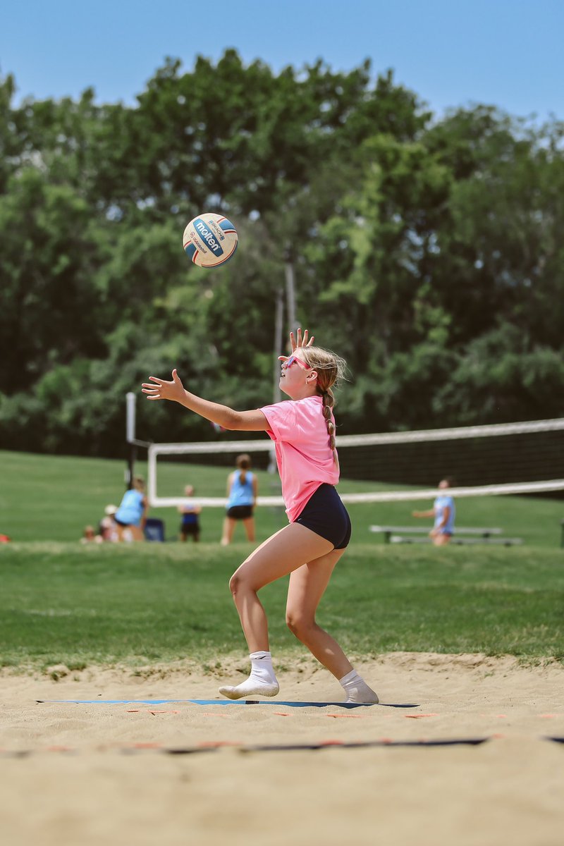 Tess Tortorello tweet media