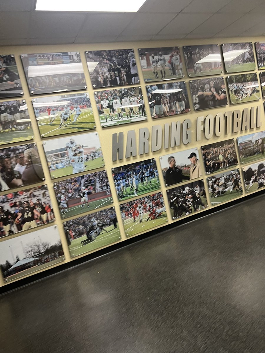 Landen Lee🐊 tweet media