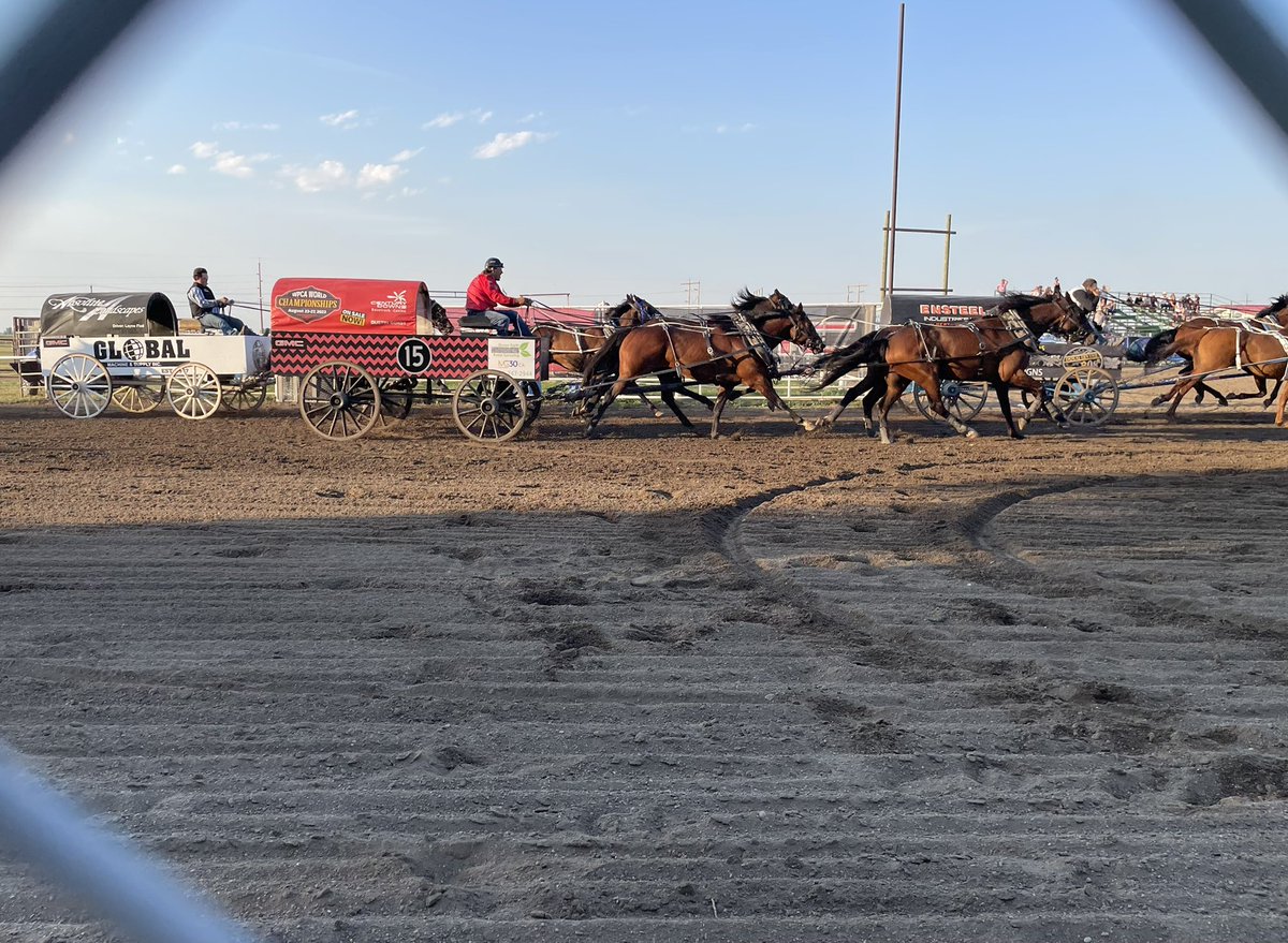 My first chuck wagon races! #Canada 🇨🇦 Cheering in the <a href="/CenturyDowns/">Century Downs</a> sponsored wagon.