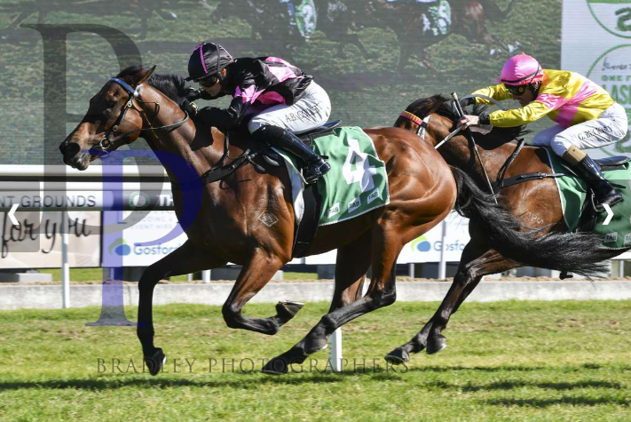 🎙️ “When he let down at the 400-metre mark he put them away comfortably” 

💗🖤 Jockey <a href="/alyshacollett/">Alysha Collett</a> paid tribute to PUDACIOUS who went 1 better than his previous visit to Gosford when he broke his maiden yesterday

Congrats to owners 💪✌️

Full story ➡️ bit.ly/3QbI4TN