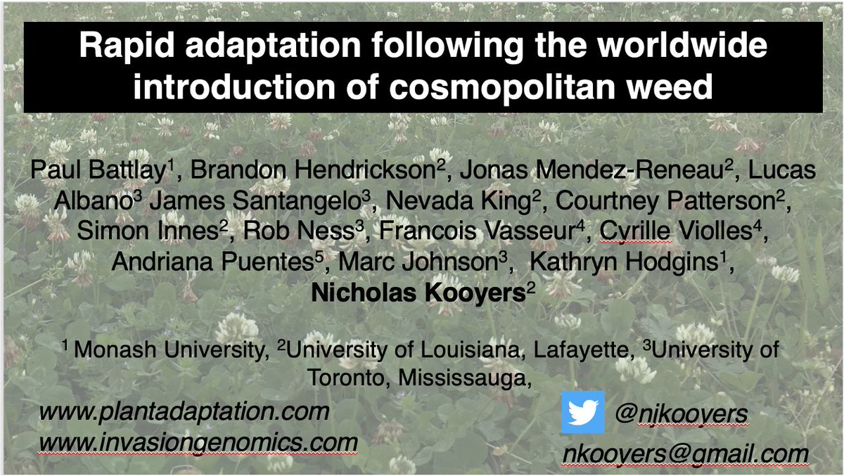 So excited to be in Boise for #Botany2023! If you are interested in rapid adaptation, invasive species, or population genomics come check out my talk on Monday at 9:15 in 400A - part of the Botany in the Anthropocene Colloquium