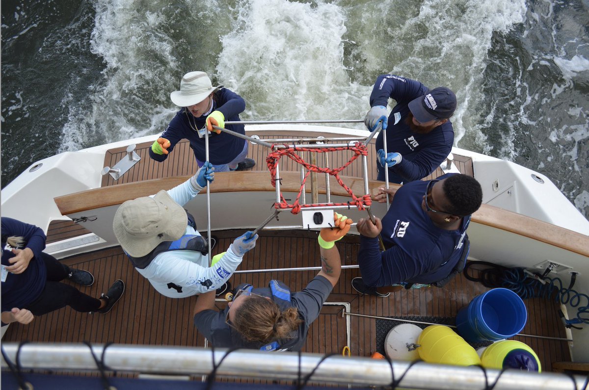 ANGARIocean's tweet photo. What an epic day on the water! Educators spent the day on #rvANGARI for a #CoastalOceanExplorers: Sharks expedition with @FIUCASE Scientists. Thank you #GreatCharityChallenge for making this amazing expedition possible! https://t.co/ZQuSLNy2h6