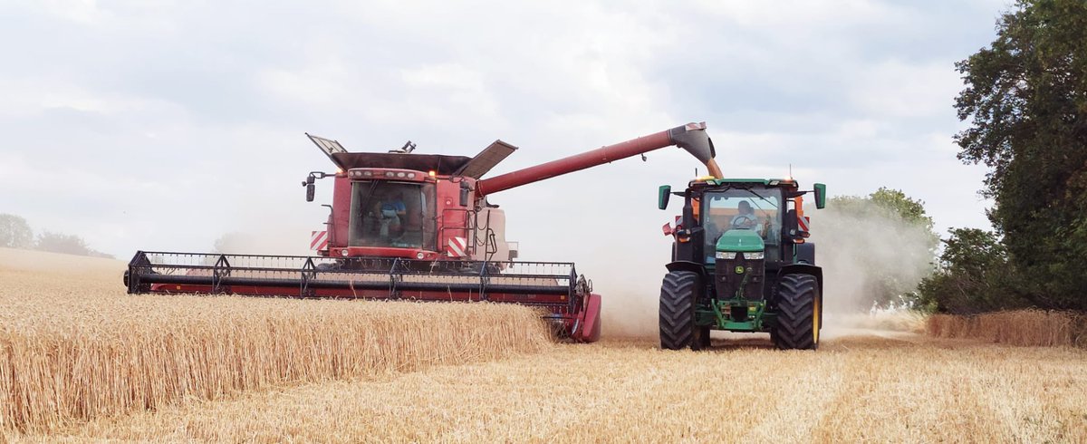 BaptisteMezo's tweet image. Fin de la #moisson2023 ! Meilleur rendement en blé depuis mes débuts en 2015 🌾
