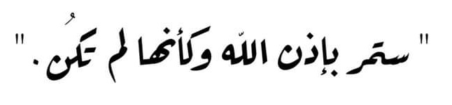 چو Dahi 🇦🇹𓂆 tweet media