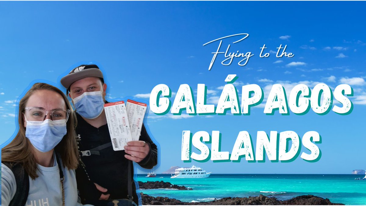 Finally dusted off the YouTube cobwebs. Scheduled our first video in almost a year to go up tomorrow at 7pm. We're very excited for this series 😍✈️.

Youtube.com/bordersandbeyo…