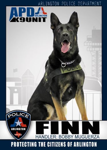 ArlingtonPD's tweet photo. We have some sad news. 
Retired APD K9 Finn crossed over the rainbow bridge yesterday. 
Finn served the citizens of Arlington from 2012 to 2018 with his handler and partner Officer Muguerza. 
Finn was fast and loved his work. 
#ArlingtonTX #K9 https://t.co/WSUbv3miKX