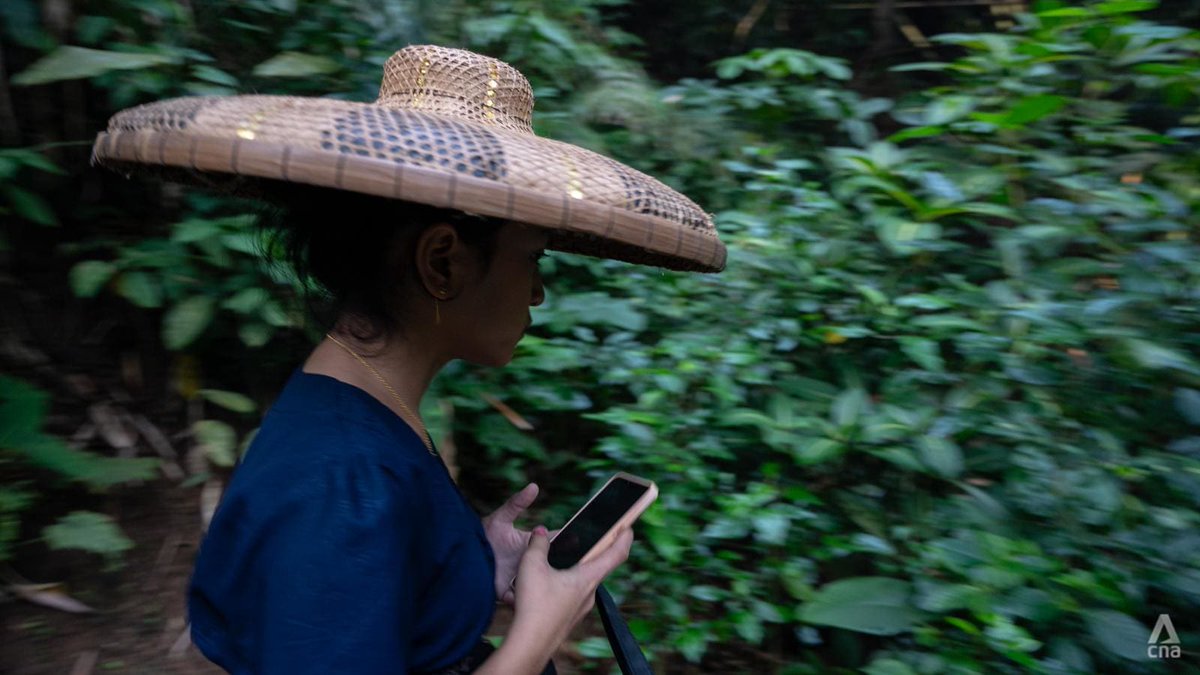 Indonesian tribe feels their tradition is under threat from smartphones; requests internet signals be halted cna.asia/3Y55tYZ
