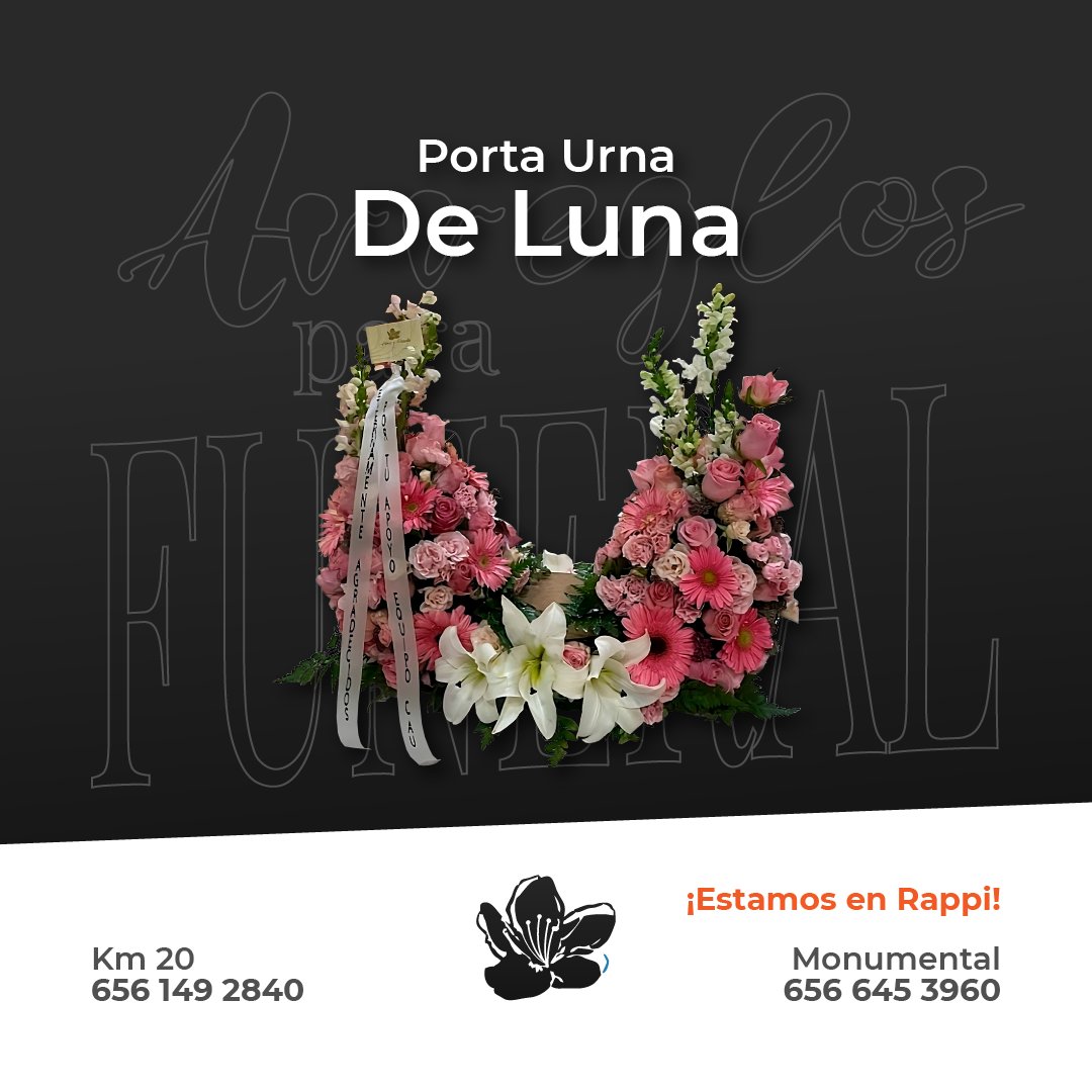 Porta urna de Luna🌙🌸
WhatsApp:
656 149 2840
#envioadomicilio #ciudadjuarez #amor #funeral #funebre #misa #regalo #floreria