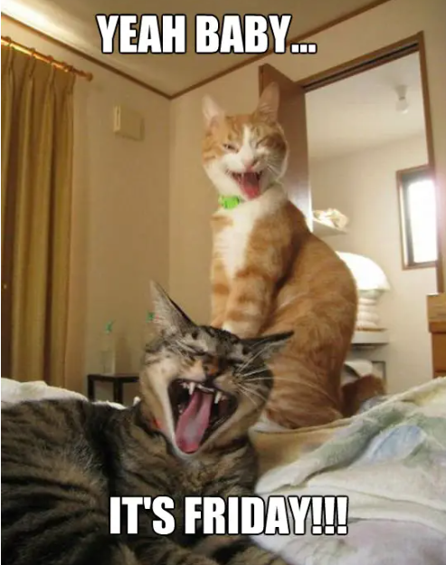 Sure, let me tickle your funny bone with this one! 🤣🎉 Weekends are like unicorns 🦄: elusive, magical, and filled with possibilities! #WeekendVibes #UnicornModeOn #LetsEmbraceTheWeekendMagic #LOL