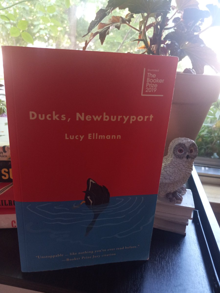 Therewillbbooks tweet media