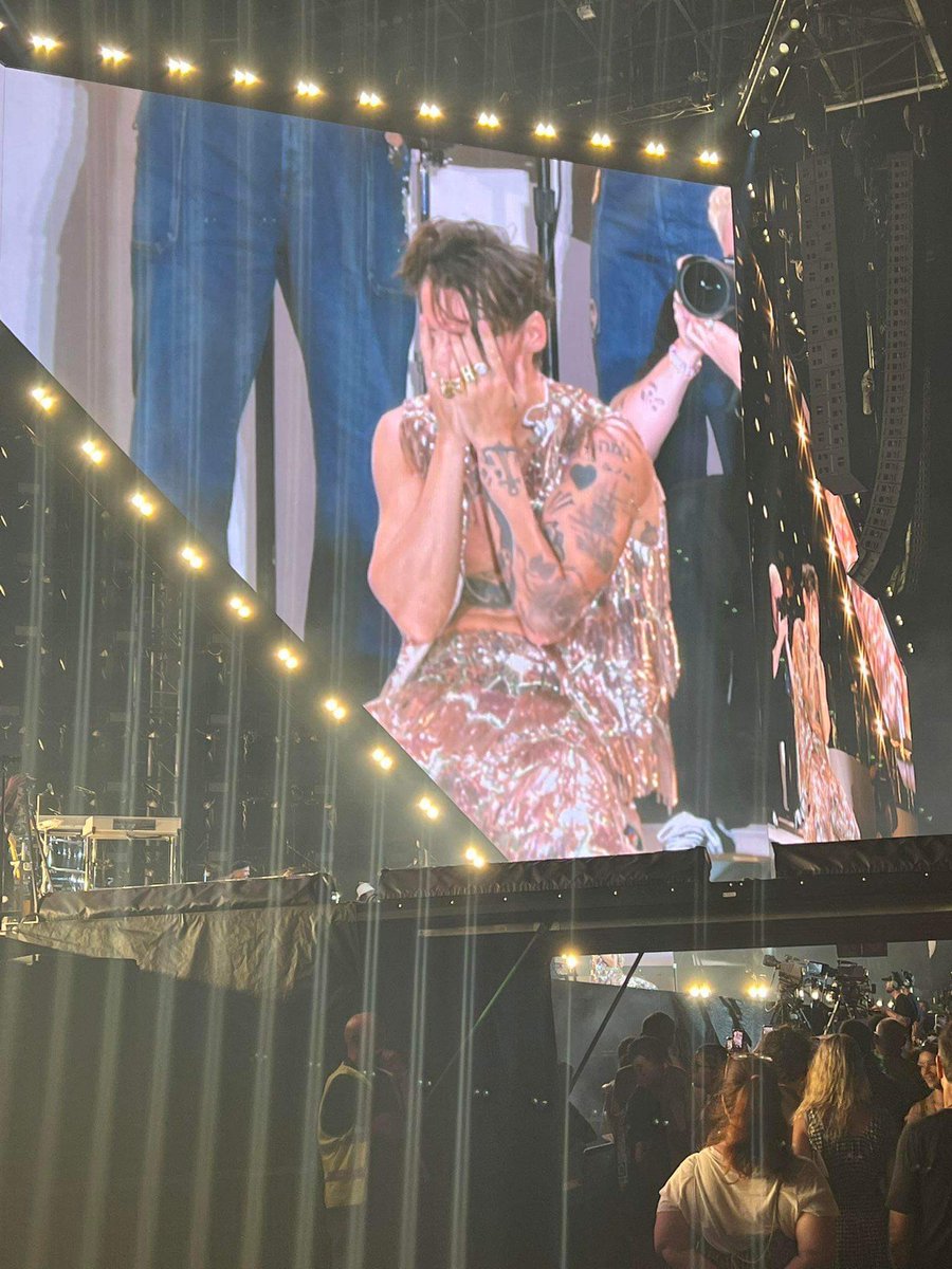 but now you know there was a man named Harry Styles and that he saved us in every way that people can be saved