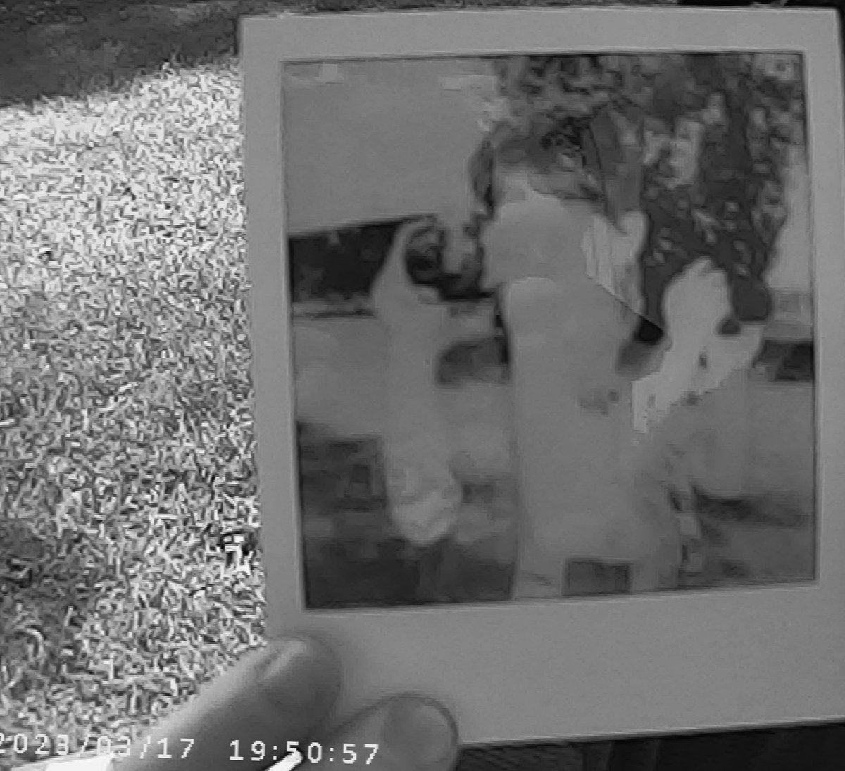 Really into double exposures lately...