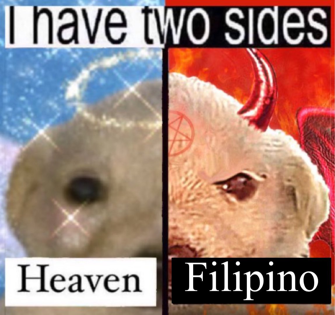 ShitpostGate's tweet image. 