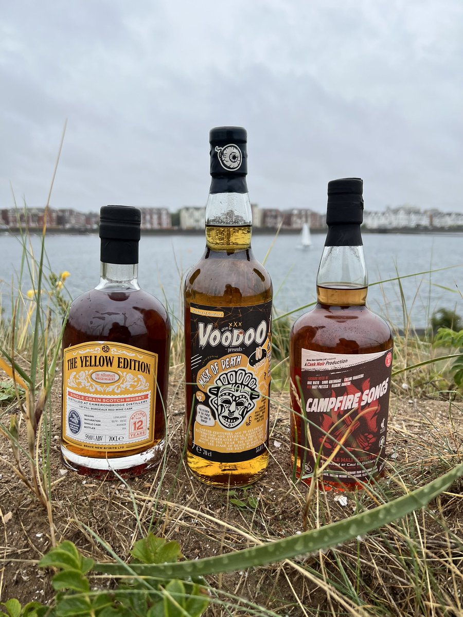 Brave New Spirits tweet media