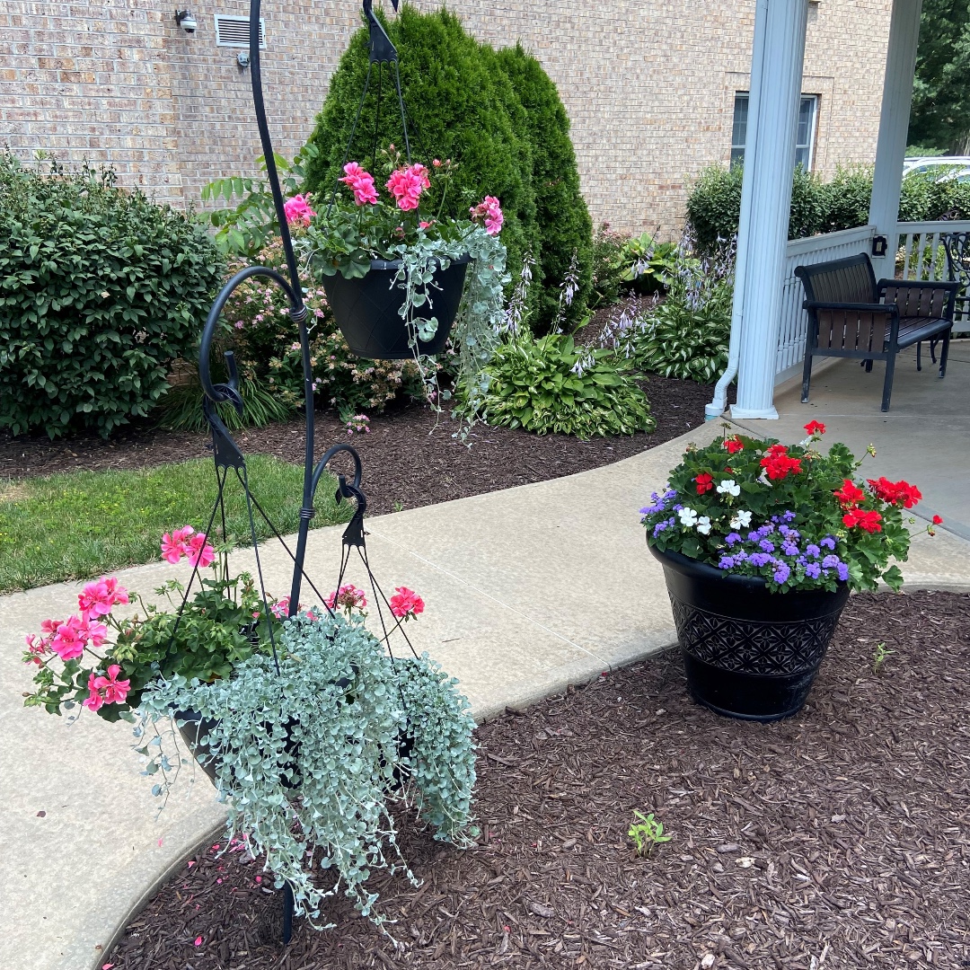 Concordia at the Orchard, residents planted some fresh flowers around the campus, and one resident built an Eagle-inspired birdhouse! What fantastic additions! To learn more about this beautiful community, visit ConcordiaOrchard.org. #Flowers #Birds