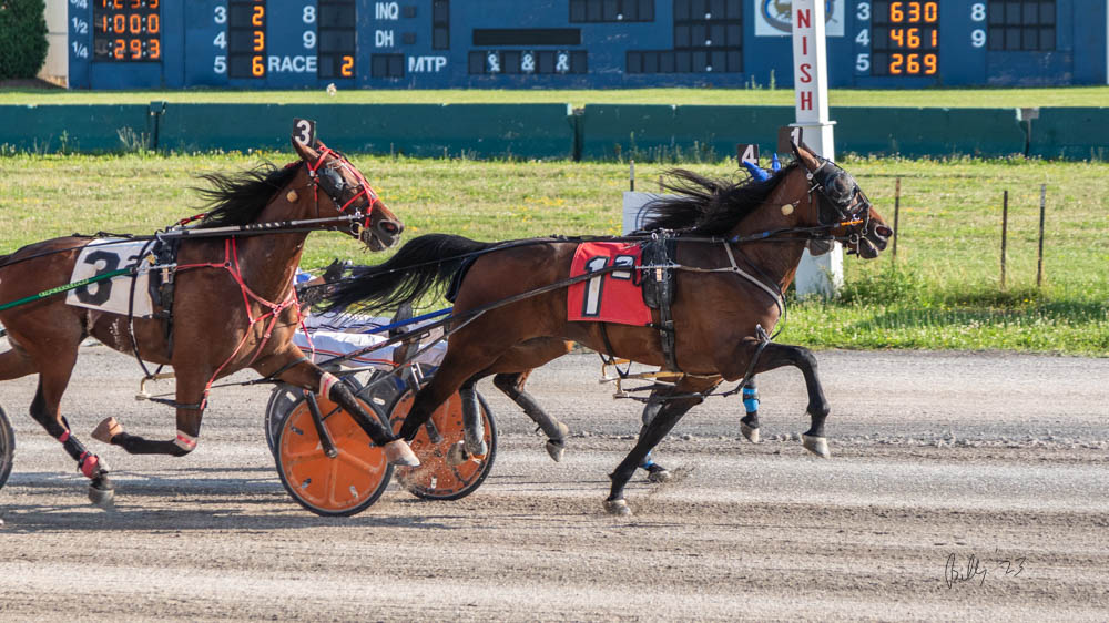 burke_foto's tweet photo. In the second at Buffalo Raceway Ray Fisher Jr pilots CHARLATAN HANOVER to the front to get the win for owner/trainers Andrew &amp; Kristen Torre.
#harnessracing  @BuffaloRaceway \ https://t.co/pLZygT1tBe
