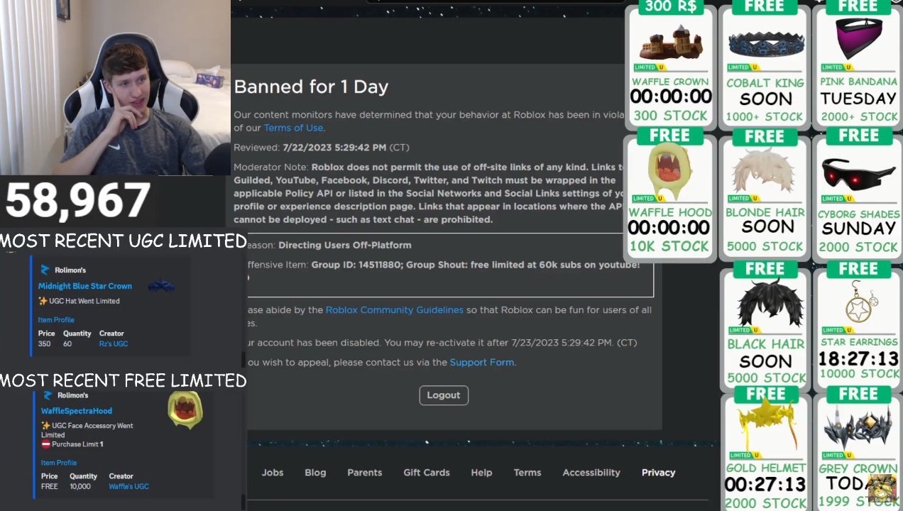 Roblox Banned ME FOR 1 DAY 