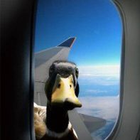 #NouvellePhotoDeProfil