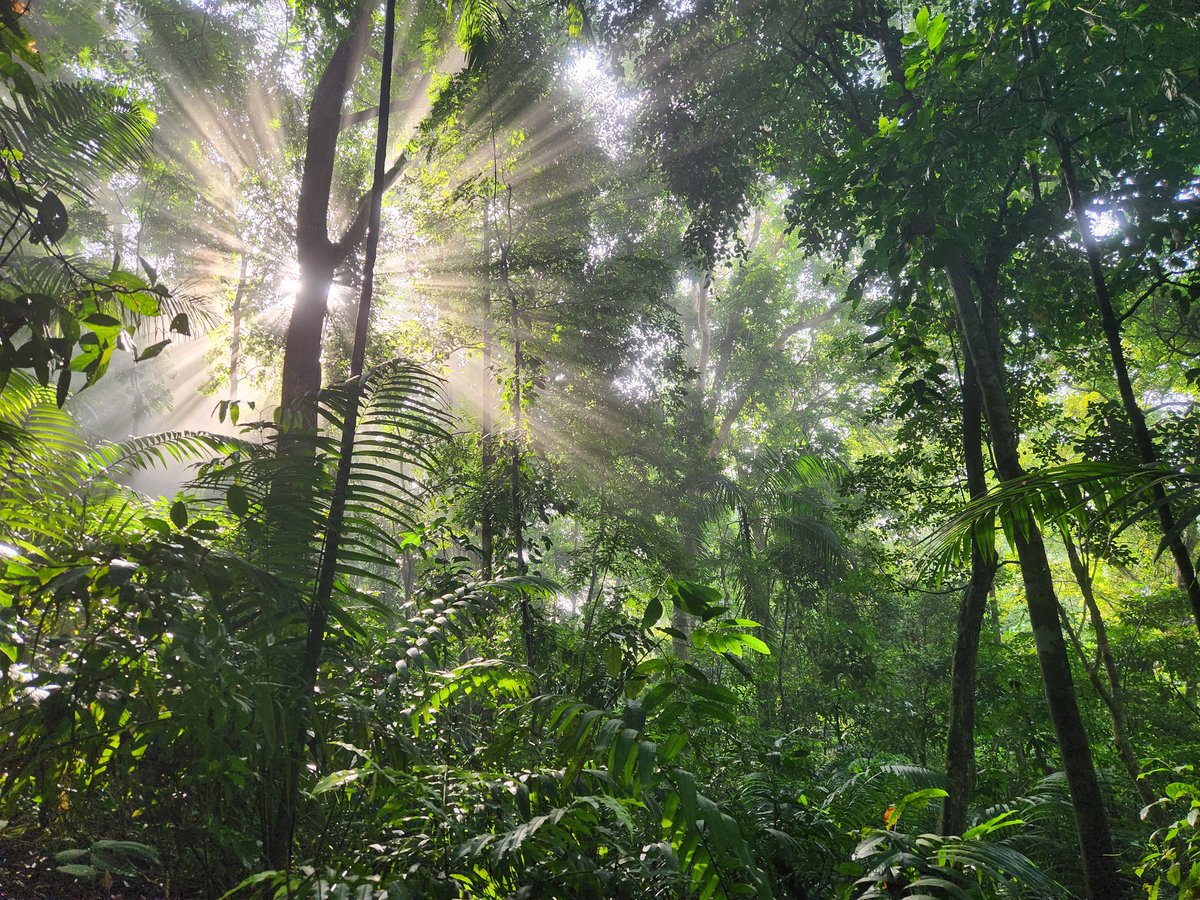 Kane Lawhorn tweet media