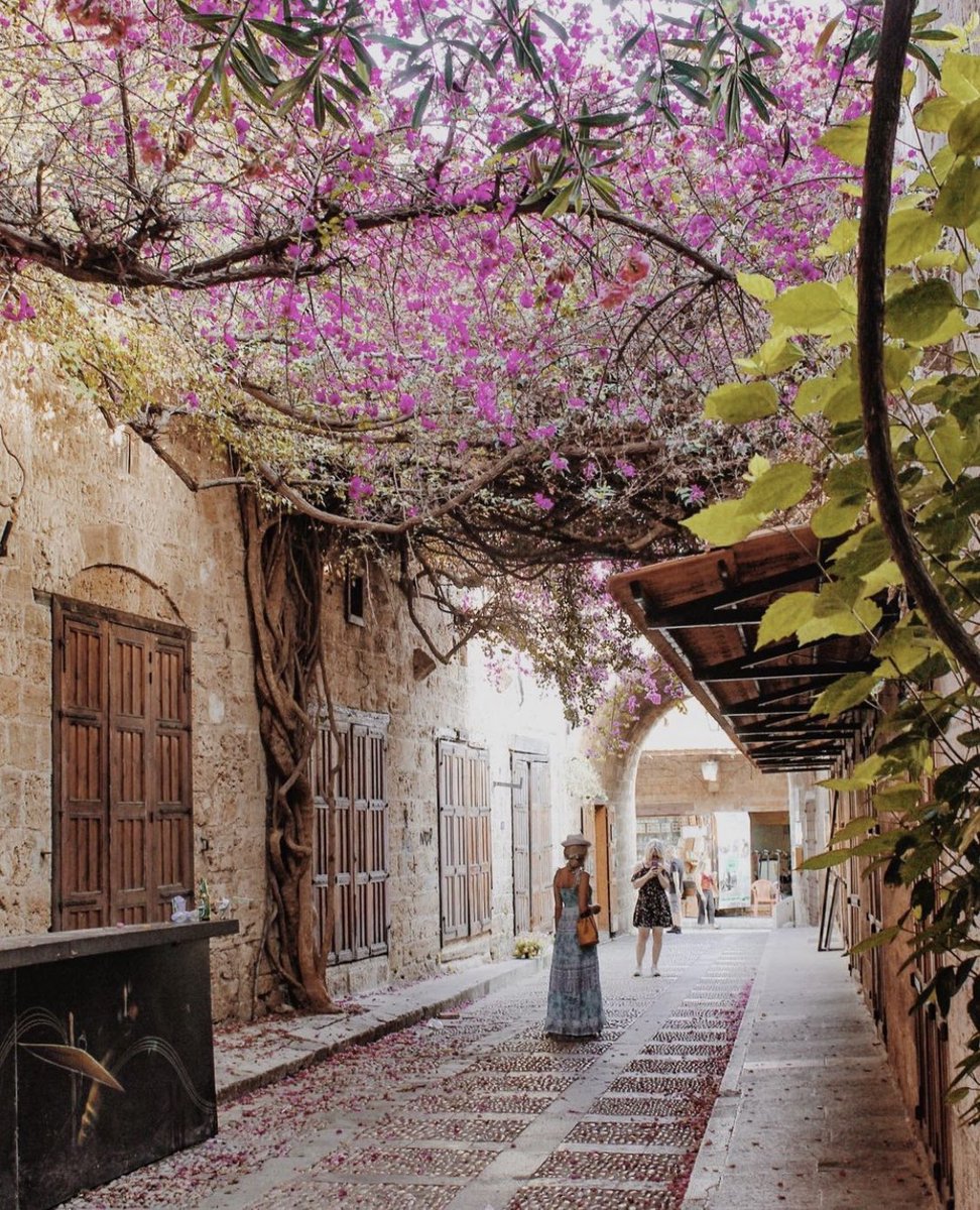 sahouraxo's tweet photo. Byblos 🌸 https://t.co/HasD3vo21K